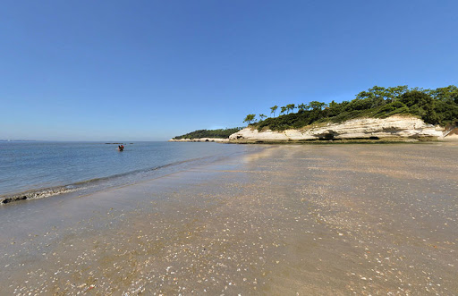 Area Entre Mer Et Forêt - Thumbnail
