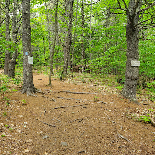 Mt Pisgah Conservation Area Trailhead - Thumbnail