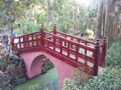 Photos of Exotique Sale Morocco Garden