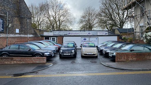 Elephant car sales - Thumbnail