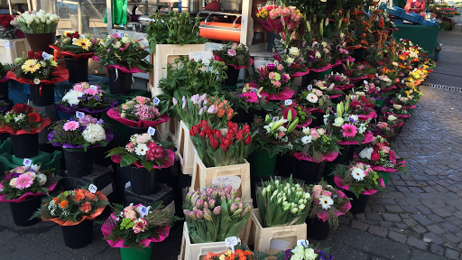 Flowerking blumenhandel