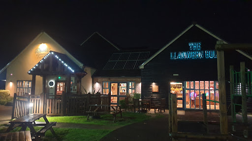 Llanwern Bull - Thumbnail