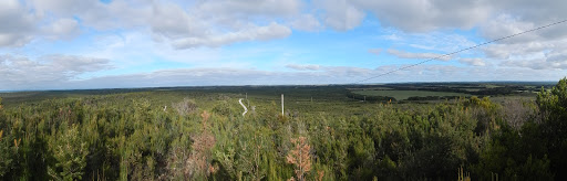 Counsel Hill conservation Area - Thumbnail