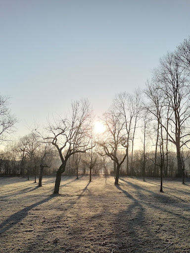 Obstgarten Garching