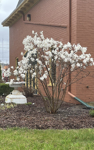 Henry County Historical Society Gallery - United States