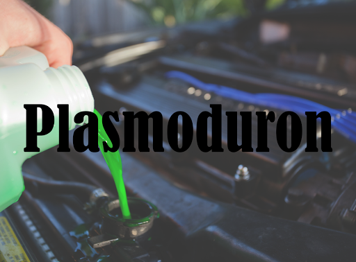 Plasmoduron - Visual