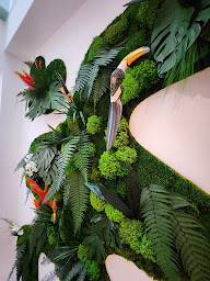 Photo n°1 de inspiration vegetale.com à Chaumont (Décorateur d'intérieur)