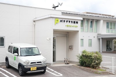 パナプラス薬局 第2むつな店