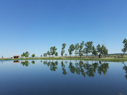 Laguna de los Majanos - Thumbnail