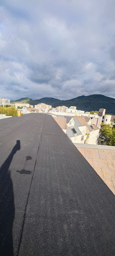 Photo de RHTP à Pont-de-Chéruy (38230)