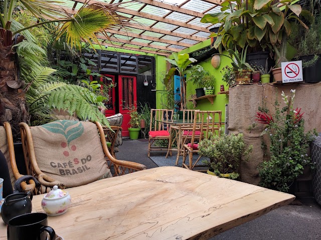 Jungle Cafe Galway