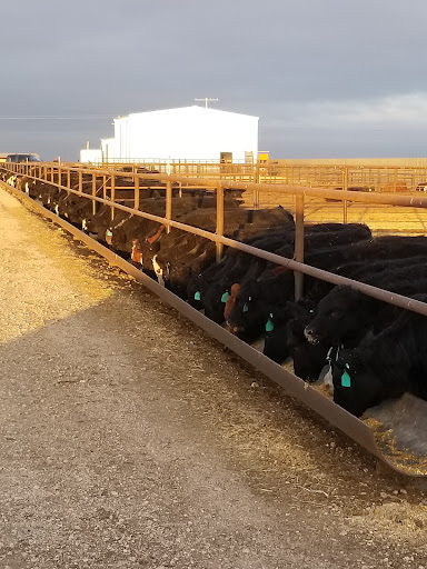 Panhandle Meat Processing - Visual