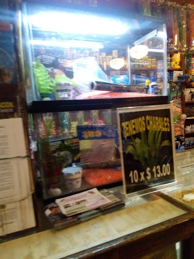 Piscilandia - Visual