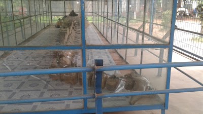 Photos of Zoo Bus Stand