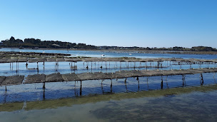 Photo n°2 de Le Petit Chantier de la Ria à Locoal-Mendon (Fournisseur d'huîtres)