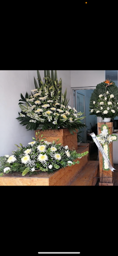 Floreria Botanica