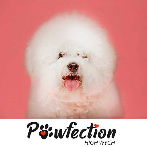 Pawfection High Wych