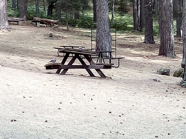 Piscina Natural De Cercedilla
