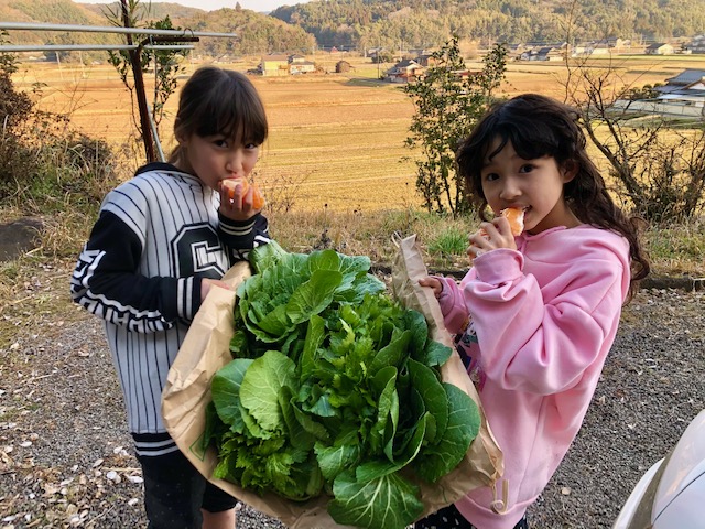 エコビレッジ地球人村 (安心院町)