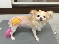 トリミングサロンcute