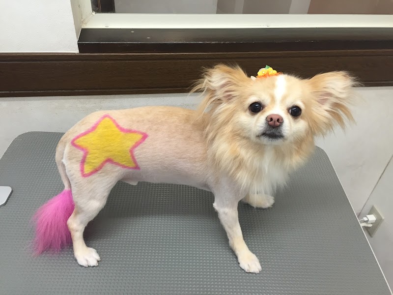 トリミングサロンcute