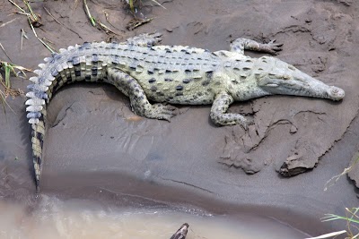 Photos of Natura Salvatica