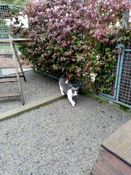 Photo n°4 de Boule De Poils à Saint-Georges-de-la-Rivière (Magasin d'articles pour animaux)