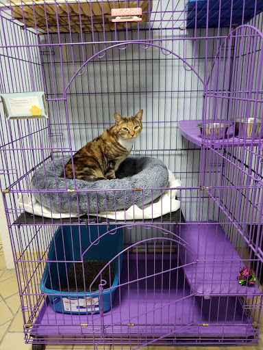 VCA West Shore Animal Hospital - Thumbnail