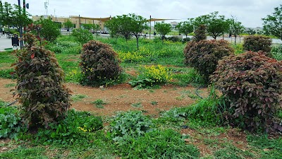 Photos of King Abdullah II Gardens