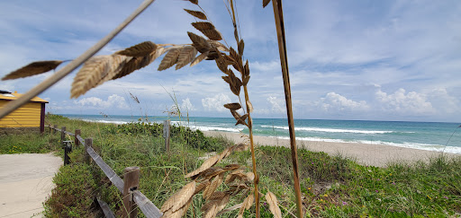 Shell St Beach Access - Visual