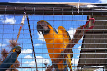 Black Hills Parrot Welfare & Education Center, Belle Fourche, United States