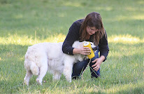 Élevage de chiens Living Links - Labrador et Golden Retriever à Sérignac