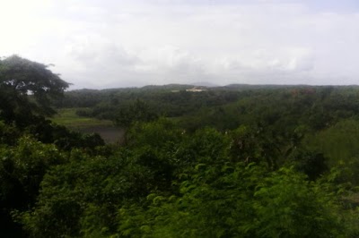 park