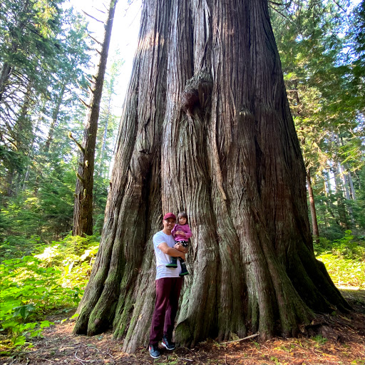 Big Cedar Tree Recreation Site - Canada