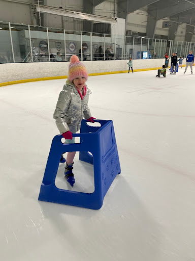 Rochester Ice Center - Thumbnail