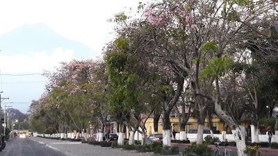 Photos of Despensa Familia