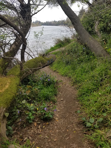 Sarah Court River Access Gallery - United States