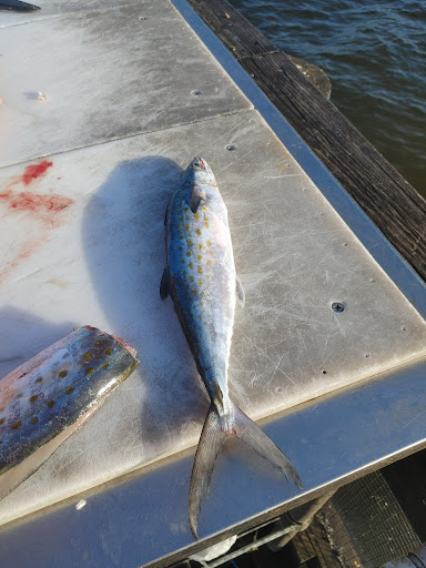 Valparaiso Fishing Pier - Thumbnail