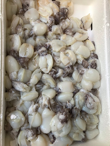 Pescheria Bronium - Thumbnail
