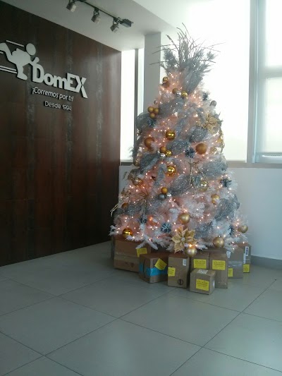 Photos of Domex Courier