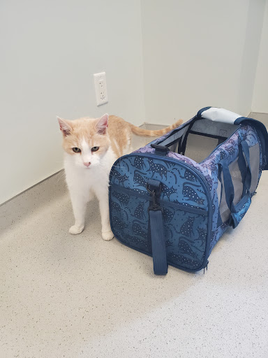 Sidney Animal Hospital - Thumbnail