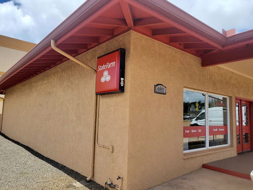 Skip Koenig - State Farm Insurance Agent - Thumbnail