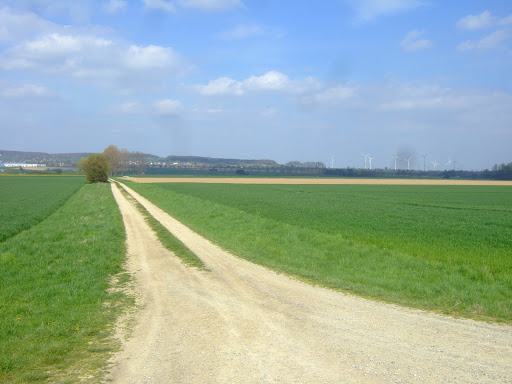 Im Hallertal