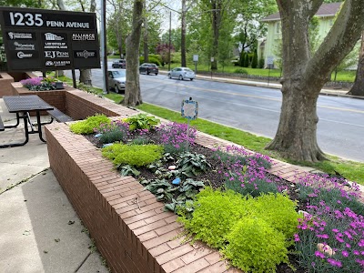 The Honey Bee Tree (Honey + Rescue & Removal Services)