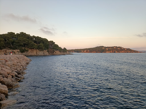 Port du Niel - Thumbnail