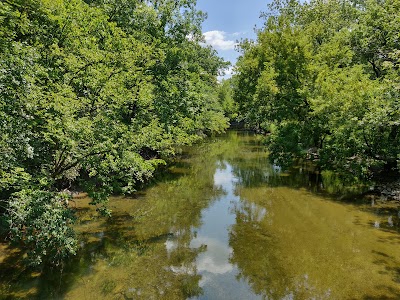 Salt Creek Woods Nature Preserve