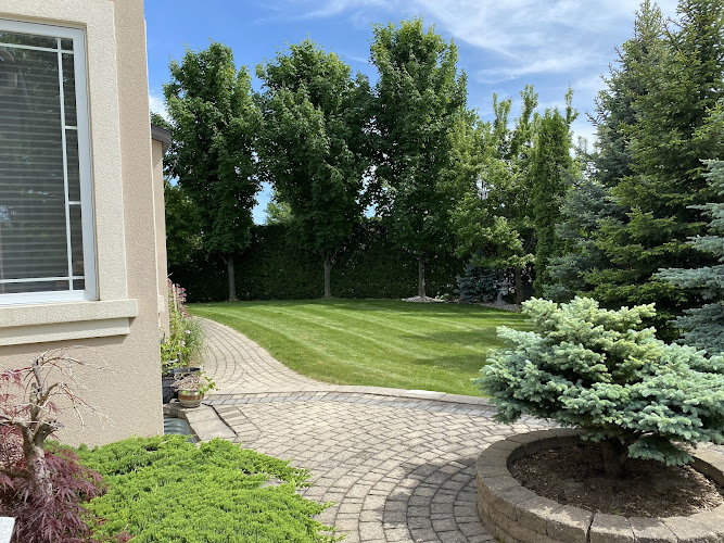 Crisp Cuts Lawn and Landscape work photo 1