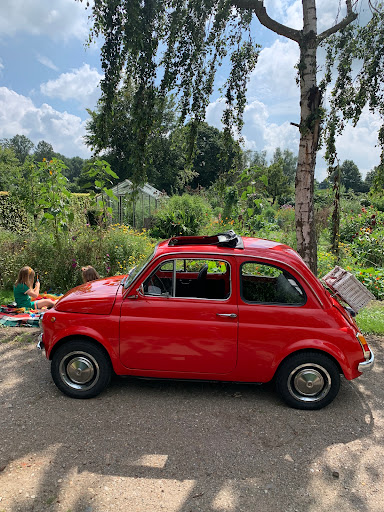 Oldtimer verhuur Mill - Fiat 500 om te toeren of als trouwauto in het Land van Cuijk! - Thumbnail