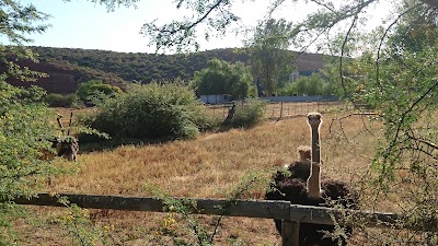 Photos of Shadowlands Guest Farm