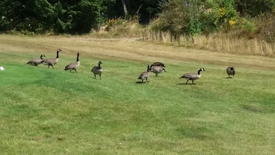 Photos of Furry Creek Golf & Country Club